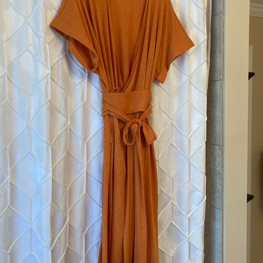 Cute fall wrap dress by Eloquii - Size 20